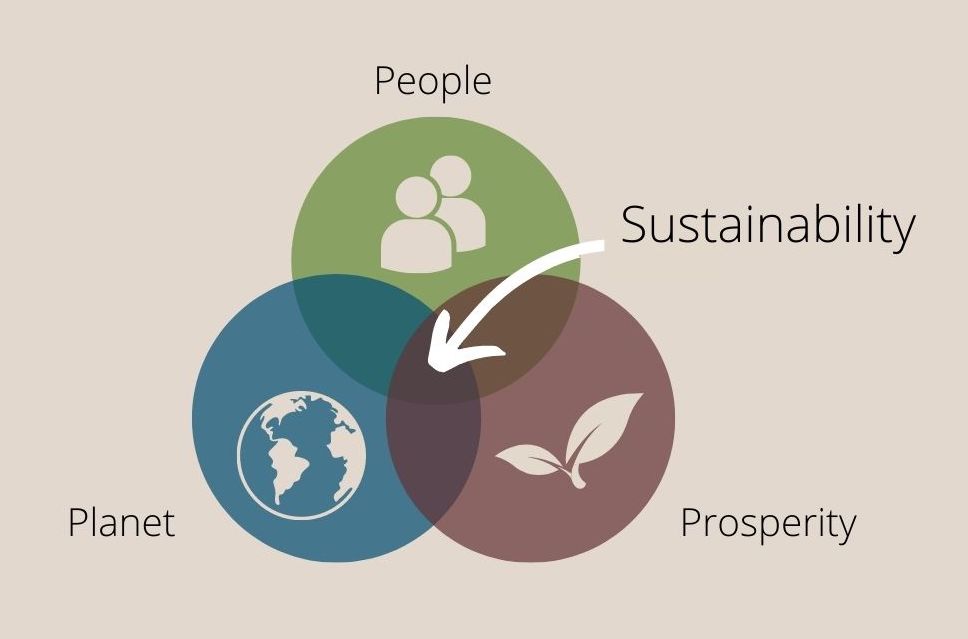 Sustainability at Diamond Brand – Our Triple Bottom Line