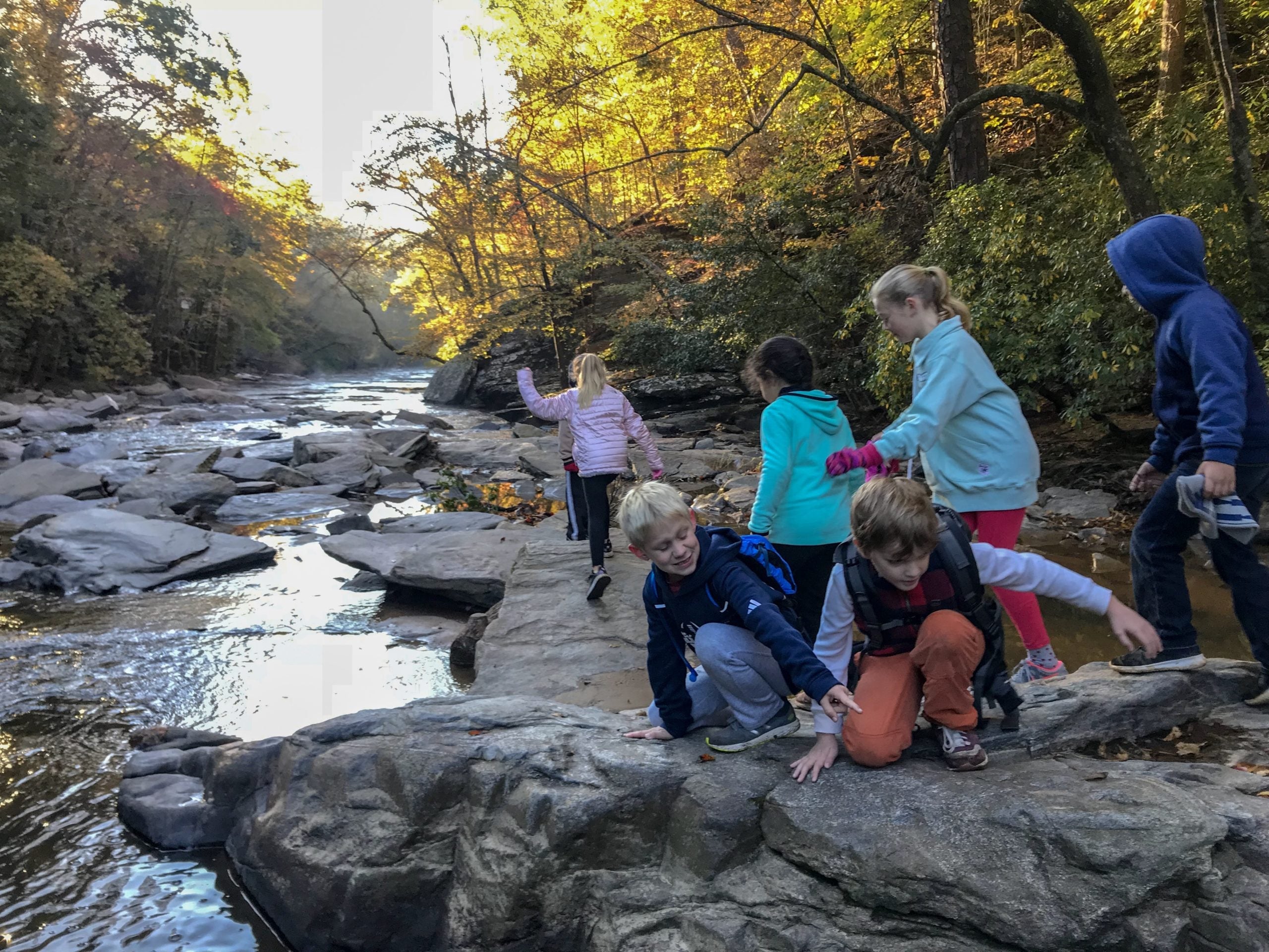 Inspiring Young Minds Through Nature