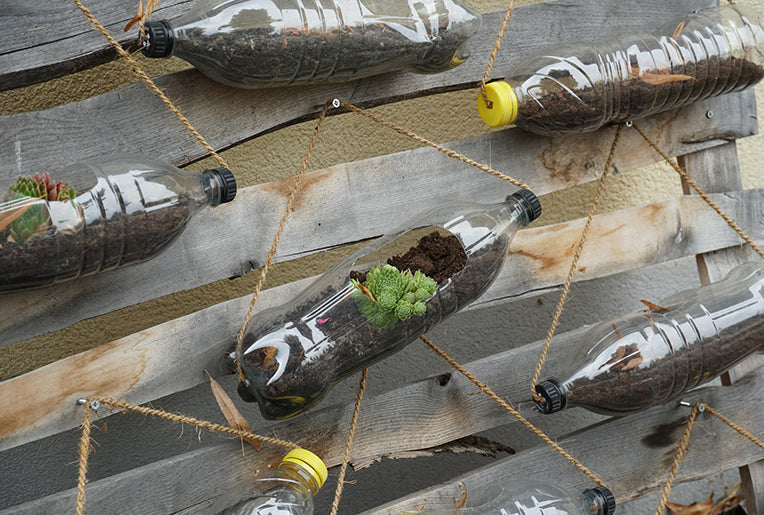 5 Creative Recycling Ideas to Embrace Sustainability in Your Daily Life