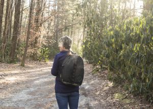 Asheville in fall: must-do list