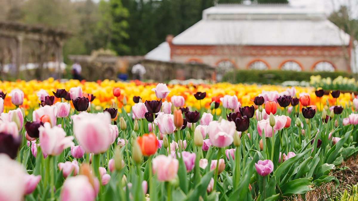 Biltmore Environmental Stewardship