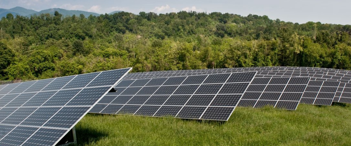 Solar Array at Biltmore